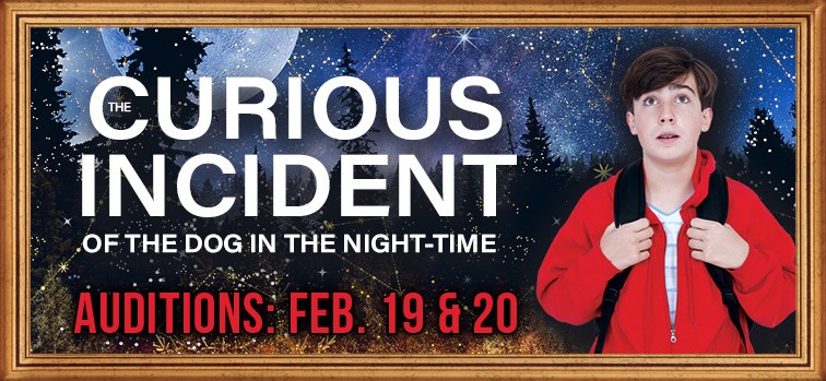 The Curious Incident of the Dog in the Night-Time Auditions
