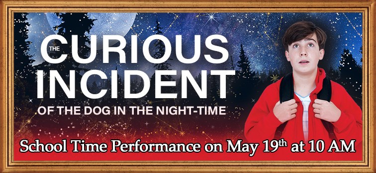 Curious Incident of the Dog in the Night-Time - School Time Performance