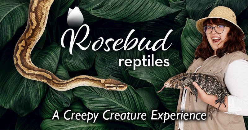 Rosebud Reptiles 2022