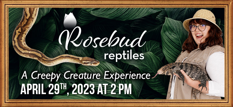 Rosebud Reptiles: A Creepy Creature Experience